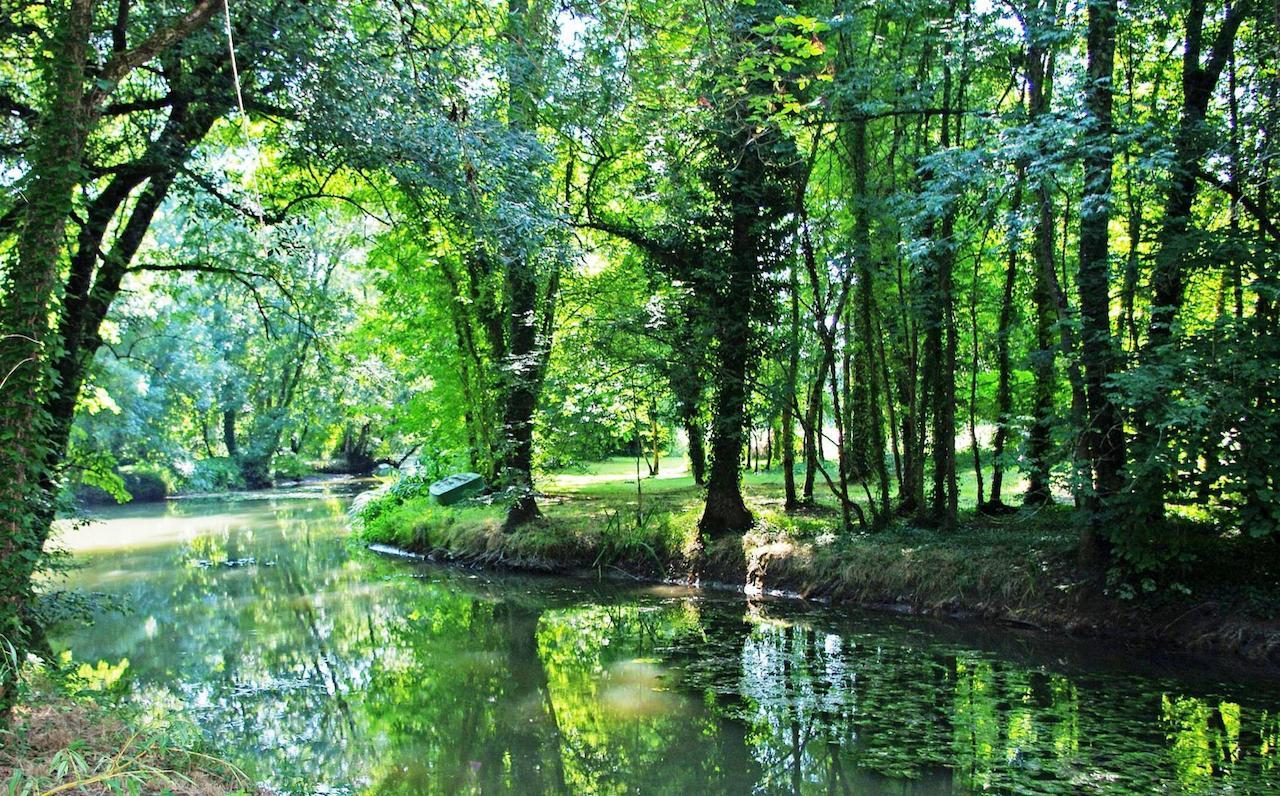 Domaine De Pladuc Bed and Breakfast Lachaise Eksteriør billede